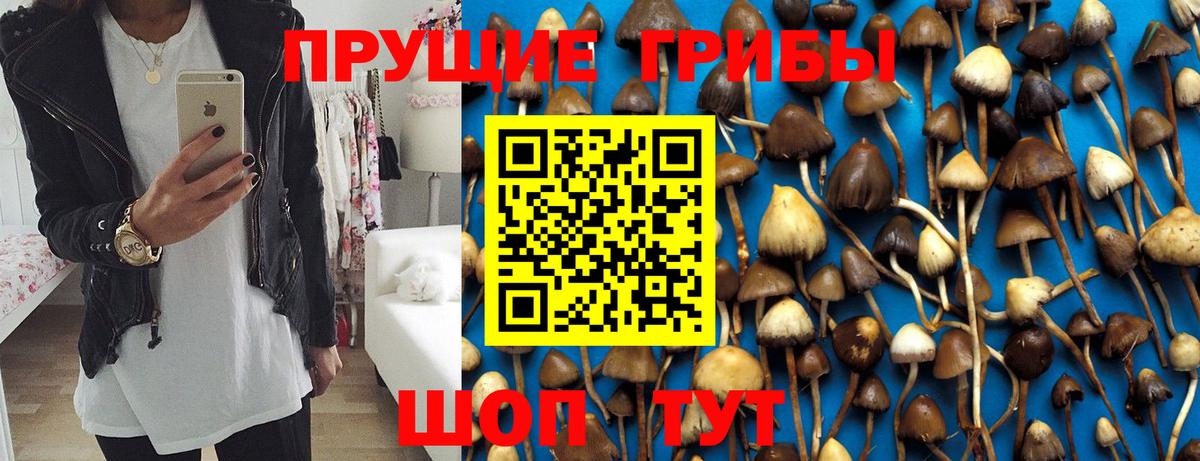 Владикавказ  Галлюциногенные грибы MAGIC MUSHROOMS  Вход с VPN 