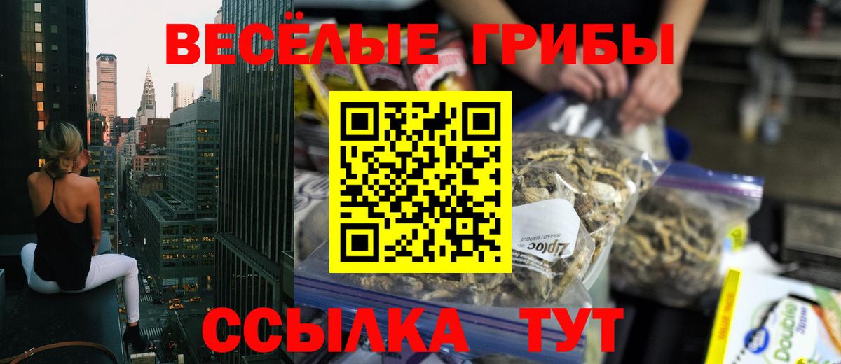 Галлюциногенные грибы MAGIC MUSHROOMS Владикавказ